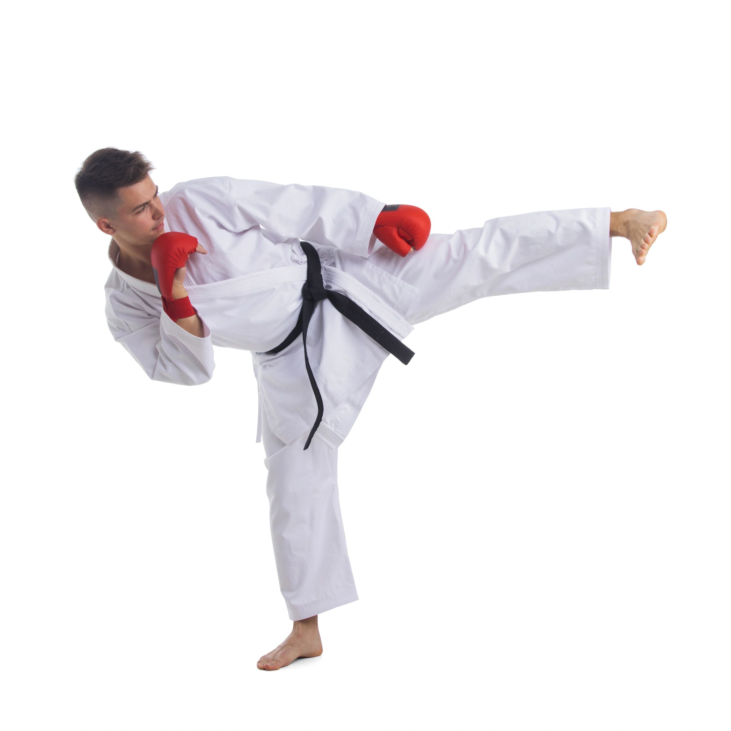 Boxing Kit Champion – Alpha Moto